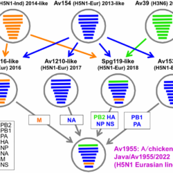 H5n1 airborne